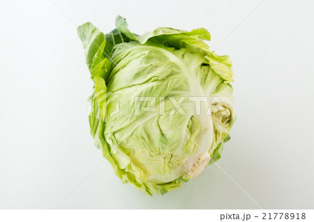 キャベツ 白バック キャベツ 白バック 21778918