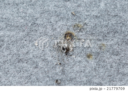 タバコの不始末　カーペット 21779709