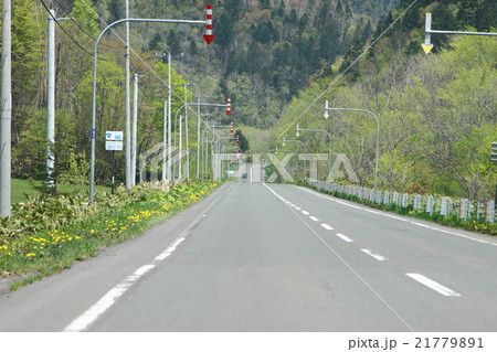 一本道　（北海道） 21779891