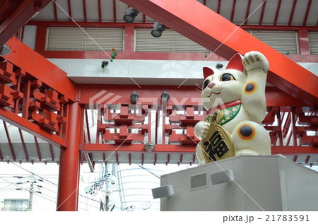 大須商店街 招き猫 大須商店街 招き猫 21783591