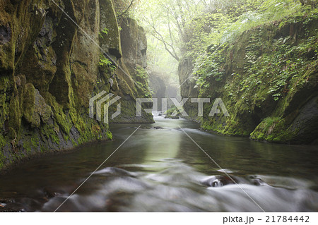 樽前ガロー 21784442