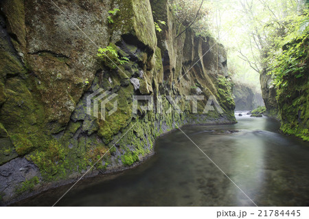 樽前ガロー 樽前ガロー 21784445