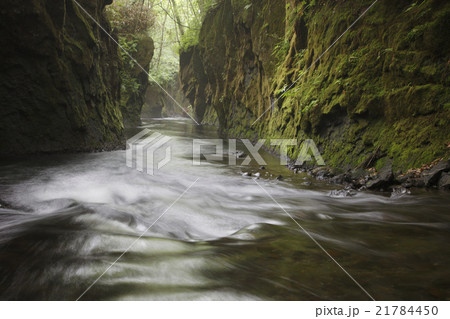 樽前ガロー 樽前ガロー 21784450