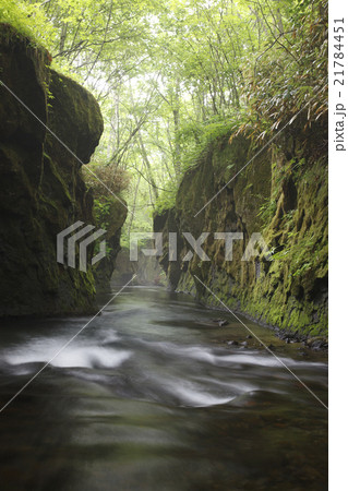 樽前ガロー 21784451