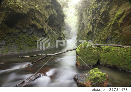 樽前ガロー 樽前ガロー 21784473