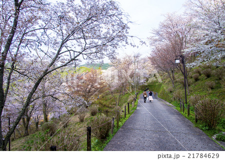 吉野山七曲坂 21784629