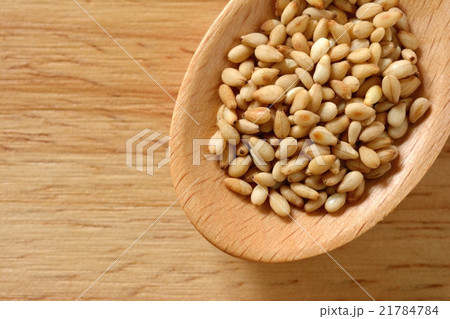 ゴマと木のスプーン 21784784