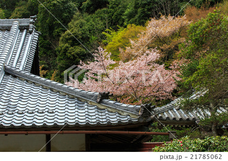 吉野山 吉野山 21785062