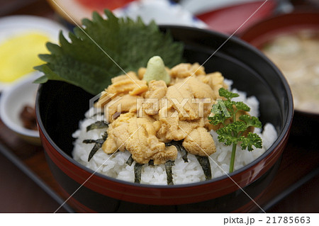 ウニ丼 21785663