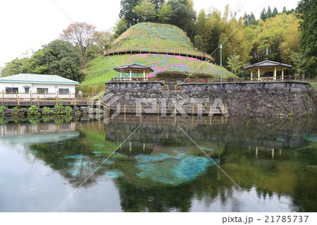 丸池湧水の風景 丸池湧水の風景 21785737