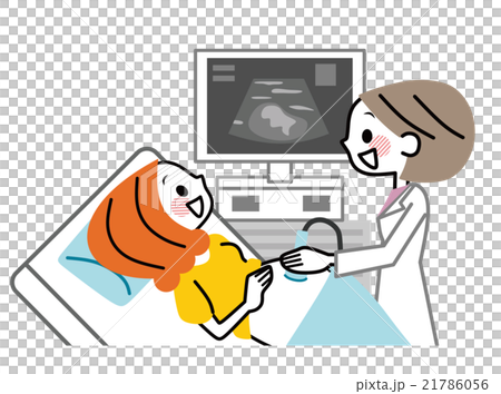 妊婦　エコー 21786056