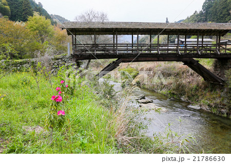 内子町の田丸橋　春 21786630