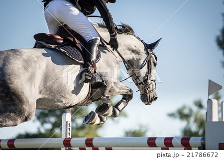 Horse Jumping, Equestrian Events Horse Jumping, Equestrian Events 21786672