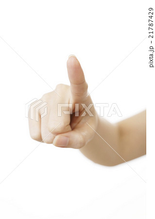 指　 21787429
