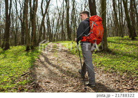 Male hiker looking to the side walking in forest 21788322