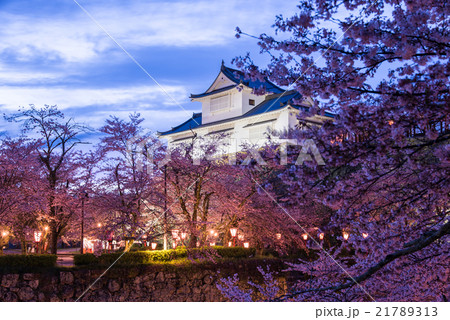 岡山津山城の夕景　お城と夜桜 21789313