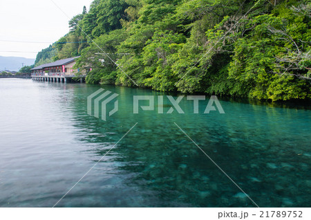 筒羽野疎水竹中池 筒羽野疎水竹中池 21789752