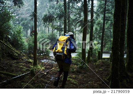 自然を冒険する男性 自然を冒険する男性 21790059