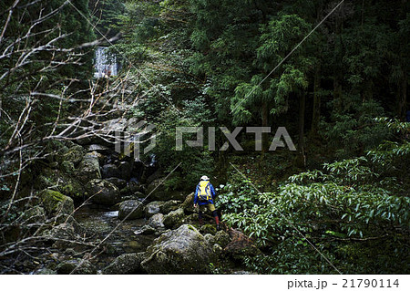 自然を冒険する男性 21790114