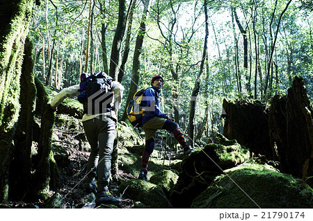 自然を冒険する男性たち 自然を冒険する男性たち 21790174