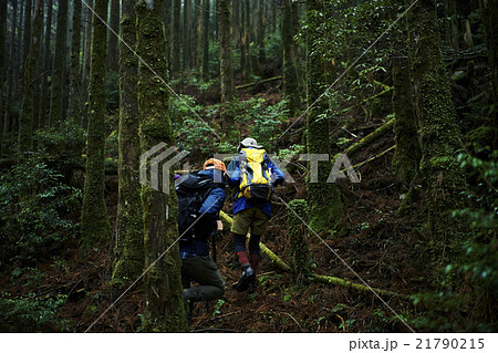 森林を歩く男性たち 21790215