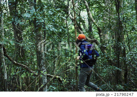 自然を冒険する男性 自然を冒険する男性 21790247