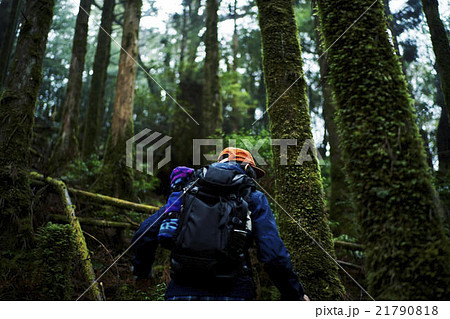 森林を歩く男性たち 森林を歩く男性たち 21790818