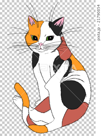 三毛猫のイラスト素材