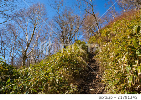 春の登山：地蔵岳【赤城】 (7) 21791345