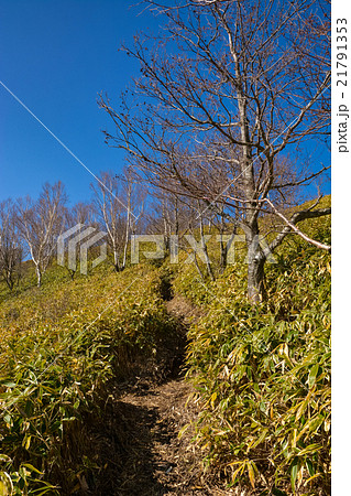 春の登山：地蔵岳【赤城】 (14) 21791353