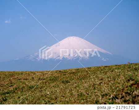 足柄城跡からの富士山 21791725