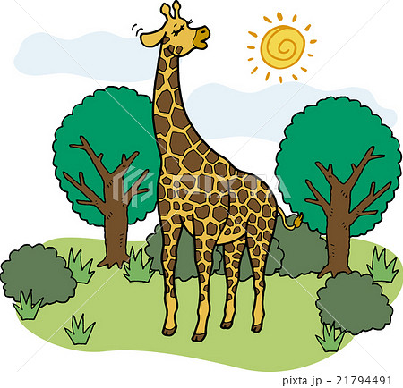 野生動物 キリンのイラスト素材