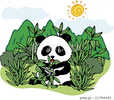 野生動物　パンダ 21794493
