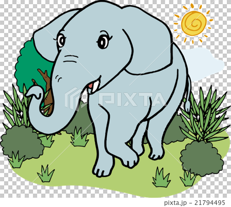 野生動物　ゾウ 21794495