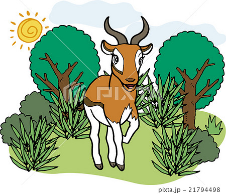 野生動物 ガゼルのイラスト素材