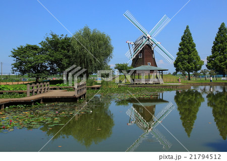 あけぼの山公園　夏 21794512