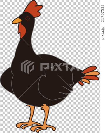ニワトリ 21797532