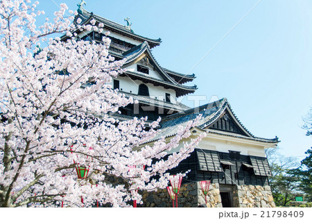 国宝　松江城天守閣とさくら　 21798409