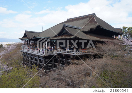 【世界遺産　古都京都の文化財】【西国三十三所】第十六番　春の清水寺本堂　京都府京都市東山区 21800545
