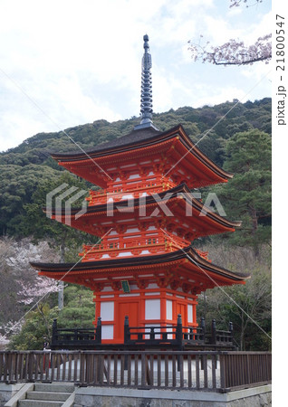 【世界遺産 古都京都の文化財】【西国三十三所】第十六番　清水寺の春の子安塔　京都府京都市東山区 21800547