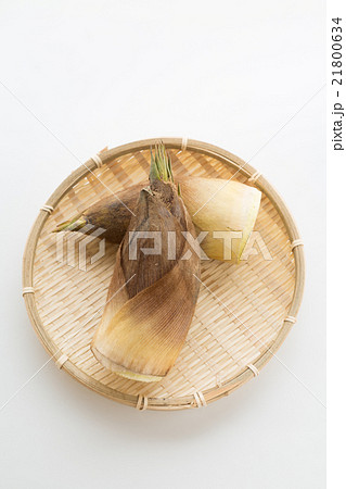 たけのこ　白バック 21800634