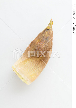 たけのこ 白バック たけのこ 白バック 21800655