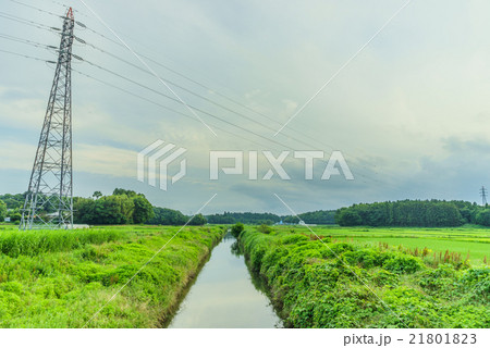 初夏の鹿島川の風景 21801823