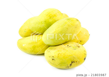 Mango fruits 21803987