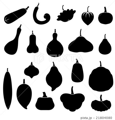 Squashes set 21804080