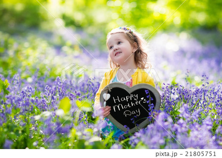 Little girl in bluebelss flowers Little girl in bluebelss flowers 21805751