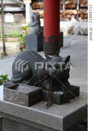 お松大権現 猫神さん日本三大怪猫伝の舞台 お松大権現 猫神さん日本三大怪猫伝の舞台 21806712
