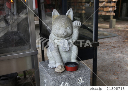 お松大権現 猫神さん日本三大怪猫伝の舞台 お松大権現 猫神さん日本三大怪猫伝の舞台 21806713