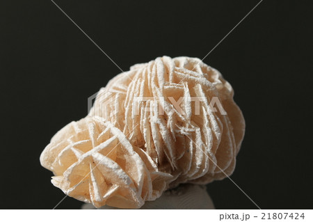 砂漠のバラ 21807424