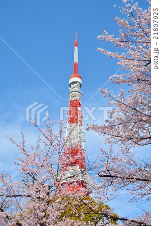 東京タワーと桜 21807925